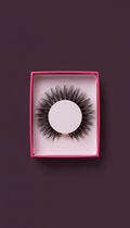 Midnight Muse dramatic volume lashes